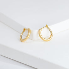 Load image into Gallery viewer, Lucia hoop earrings
