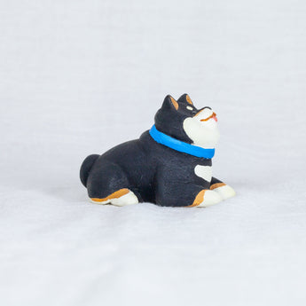 montomi - Black Shiba