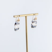 Load image into Gallery viewer, Forma one-of-a-kind large Montana agate earrings
