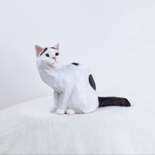 Load image into Gallery viewer, Ryoji Bannai - #2513 Black and white side sitting cat
