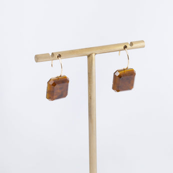 Doublet tiger's eye hook earrings