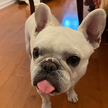 [Special order by ZY] Yukurite - Ceramic bowl with Makka