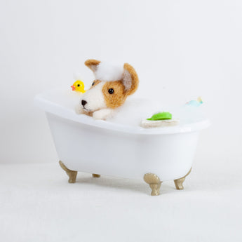 Fluffy - Corgi bath time