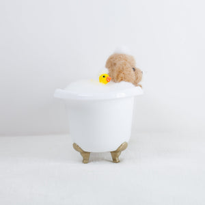 Fluffy - poodle bath time