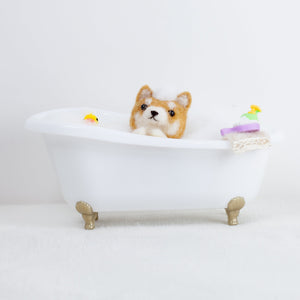 Fluffy - Shiba bath time