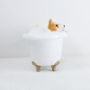 Fluffy - Shiba bath time