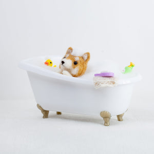 Fluffy - Shiba bath time