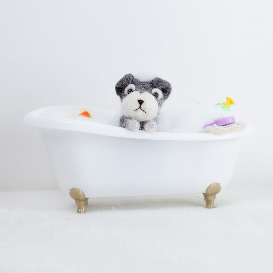 Fluffy - Schnauzer bath time