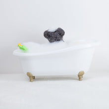 Load image into Gallery viewer, Fluffy - Schnauzer bath time
